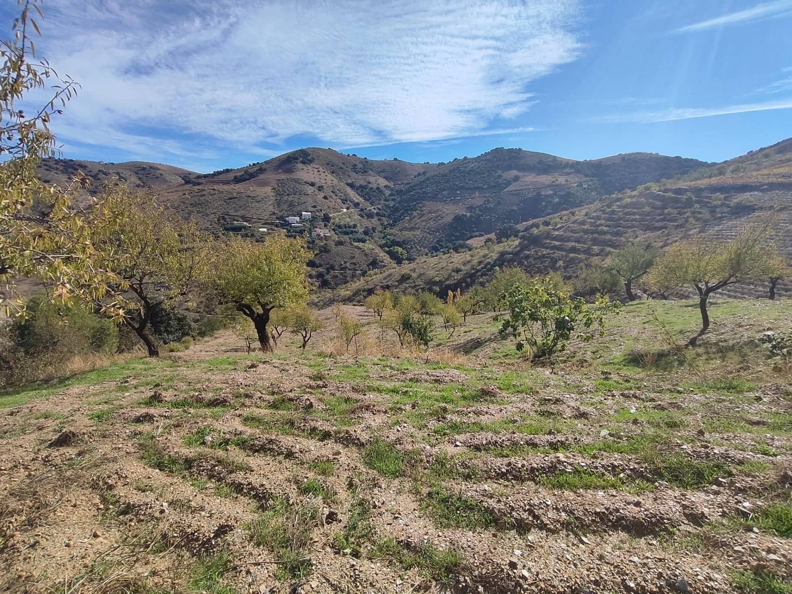 Ubebygd land til salgs i Castaras - € 150 000 (Ref: 9446507)
