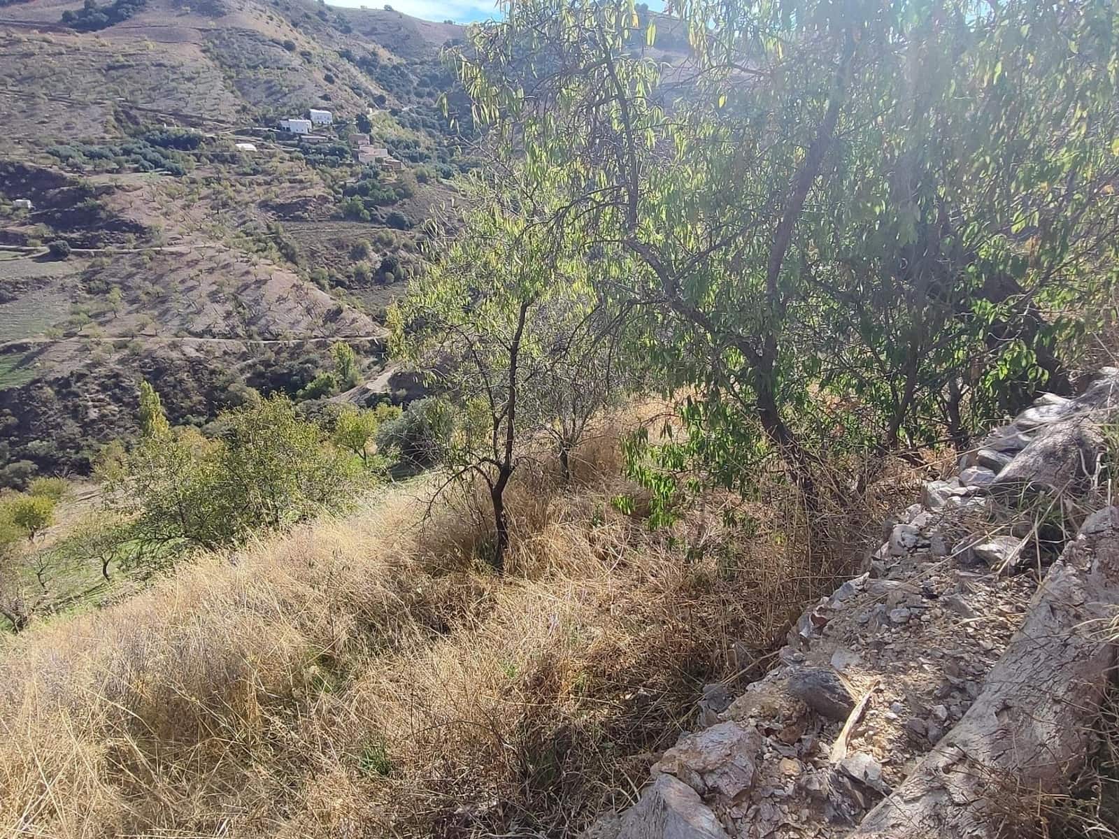 Ubebygd land til salgs i Castaras - € 150 000 (Ref: 9446507)