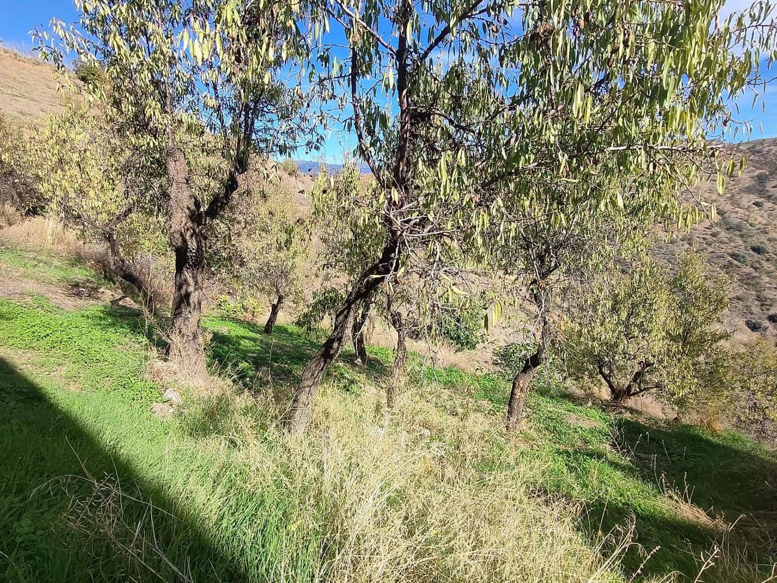 Ubebygd land til salgs i Castaras - € 150 000 (Ref: 9446507)