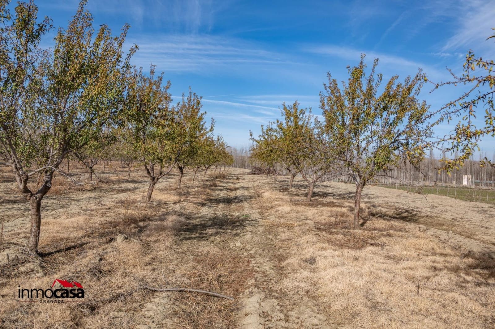 Mark till salu i Beas de Guadix - 120 000 € (Ref: 9456450)