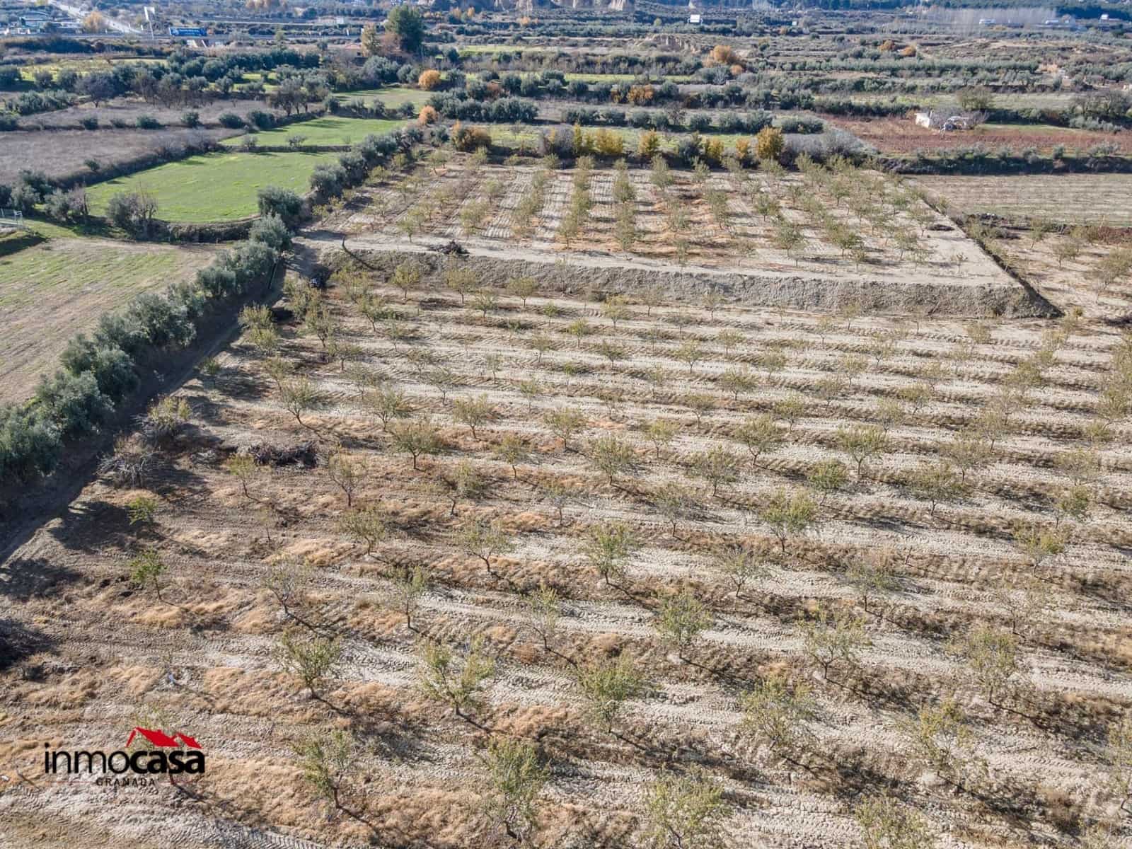 Mark till salu i Beas de Guadix - 120 000 € (Ref: 9456450)