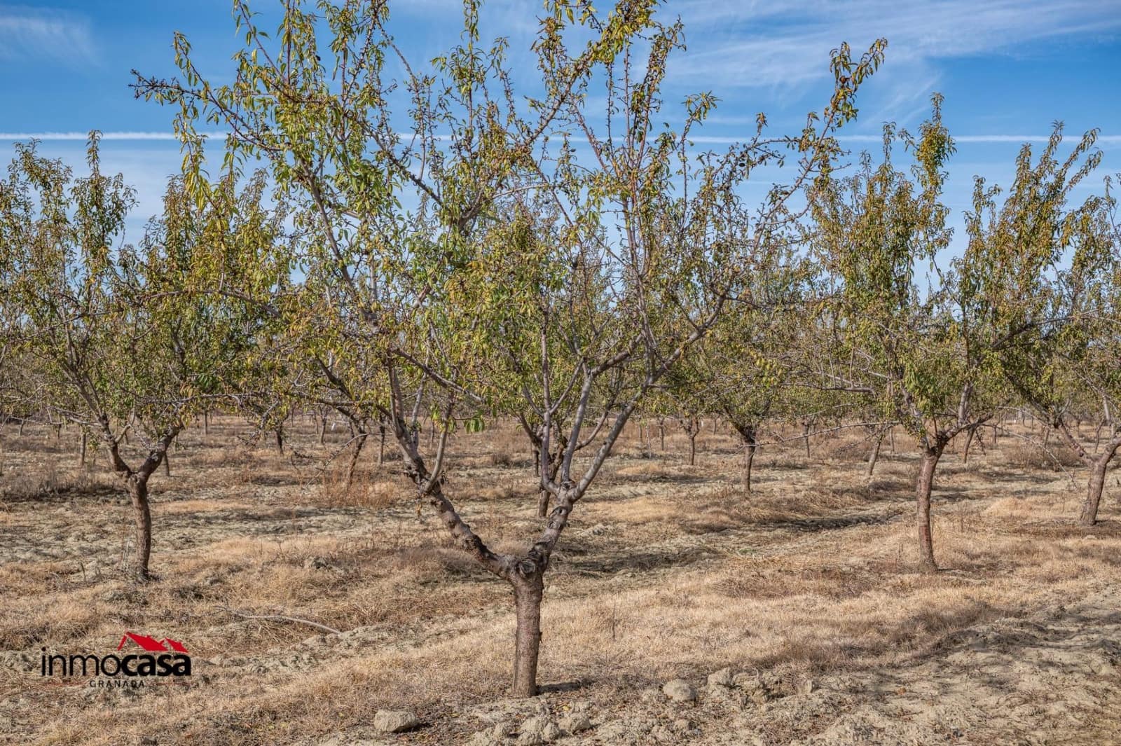 Mark till salu i Beas de Guadix - 120 000 € (Ref: 9456450)