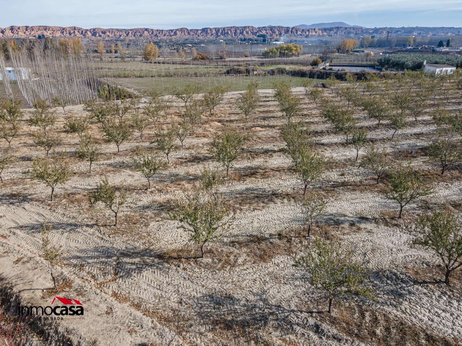 Mark till salu i Beas de Guadix - 120 000 € (Ref: 9456450)