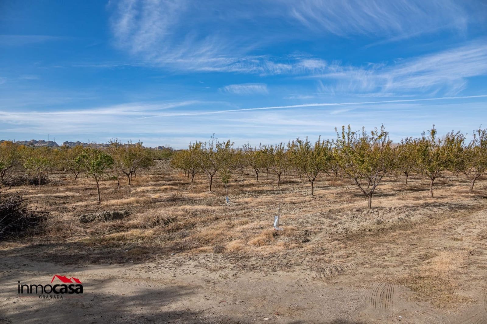 Undeveloped Land for sale in Beas de Guadix - € 120,000 (Ref: 9456450)