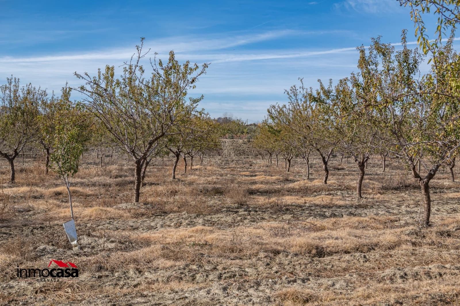 Undeveloped Land for sale in Beas de Guadix - € 120,000 (Ref: 9456450)