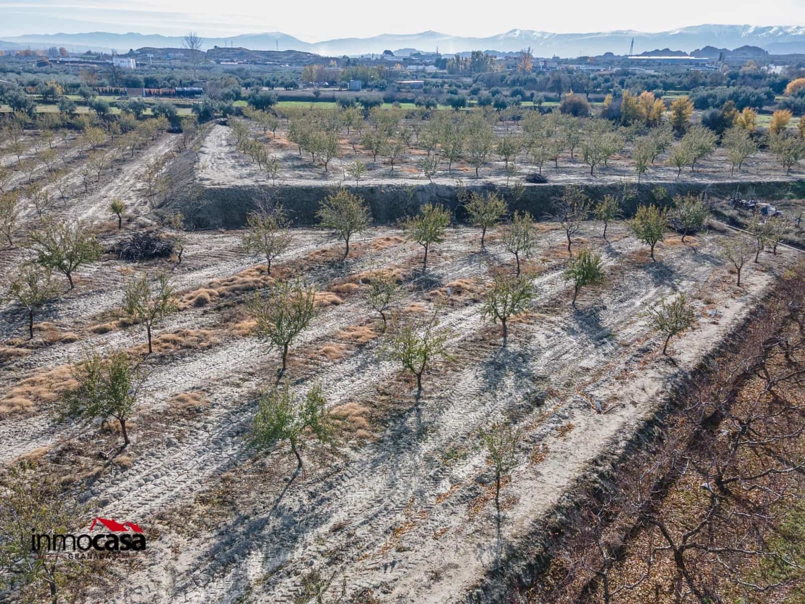 Undeveloped Land for sale in Beas de Guadix - € 120,000 (Ref: 9456450)