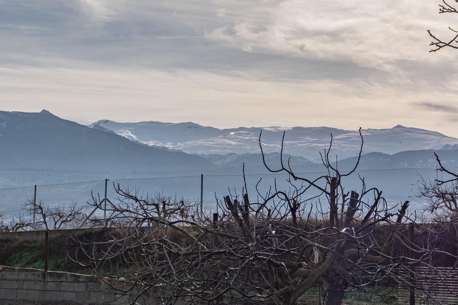 Byggegrund til salg i La Zubia - € 64.000 (Ref: 9551842)