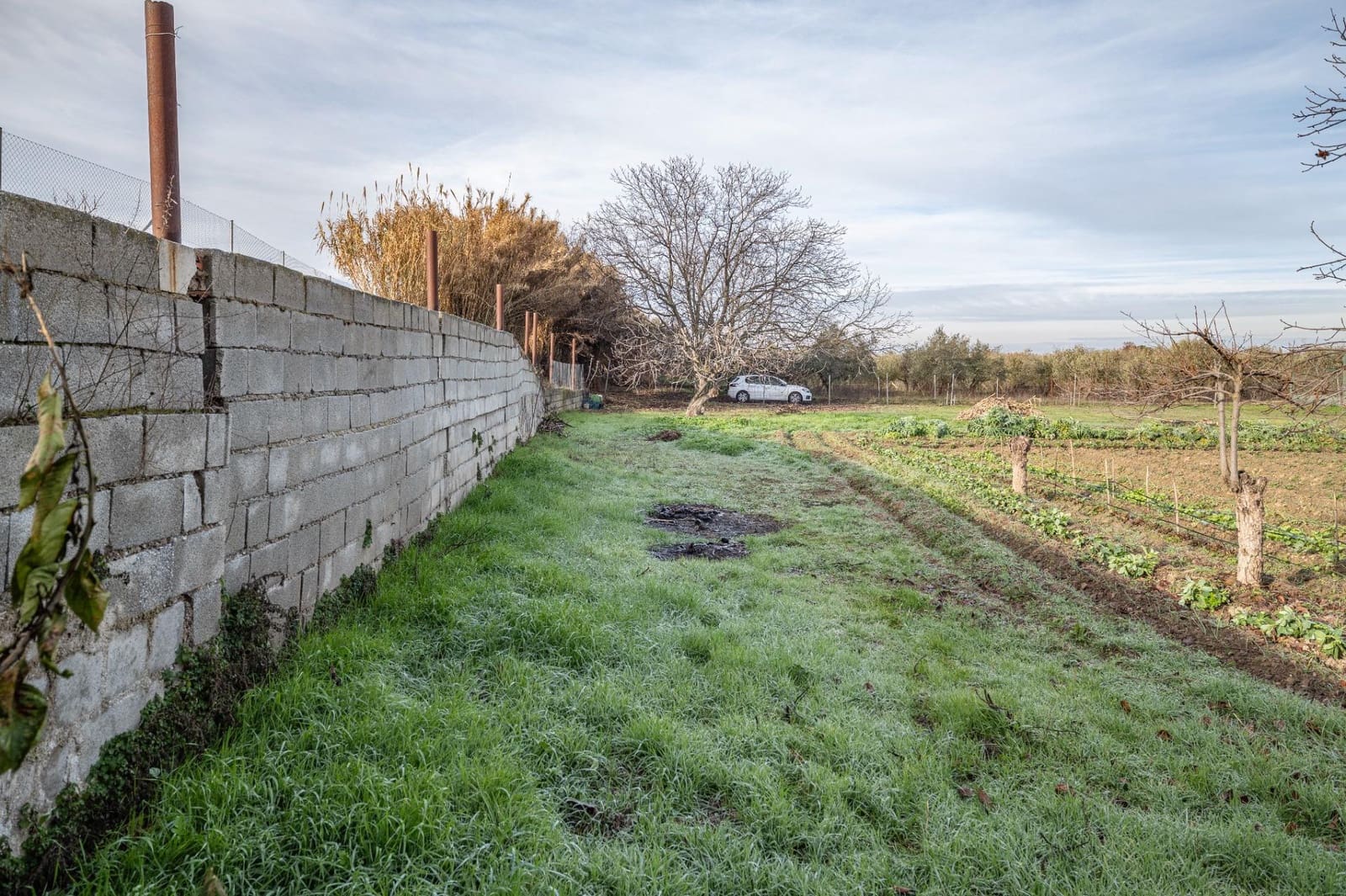 Byggegrund til salg i La Zubia - € 64.000 (Ref: 9551842)