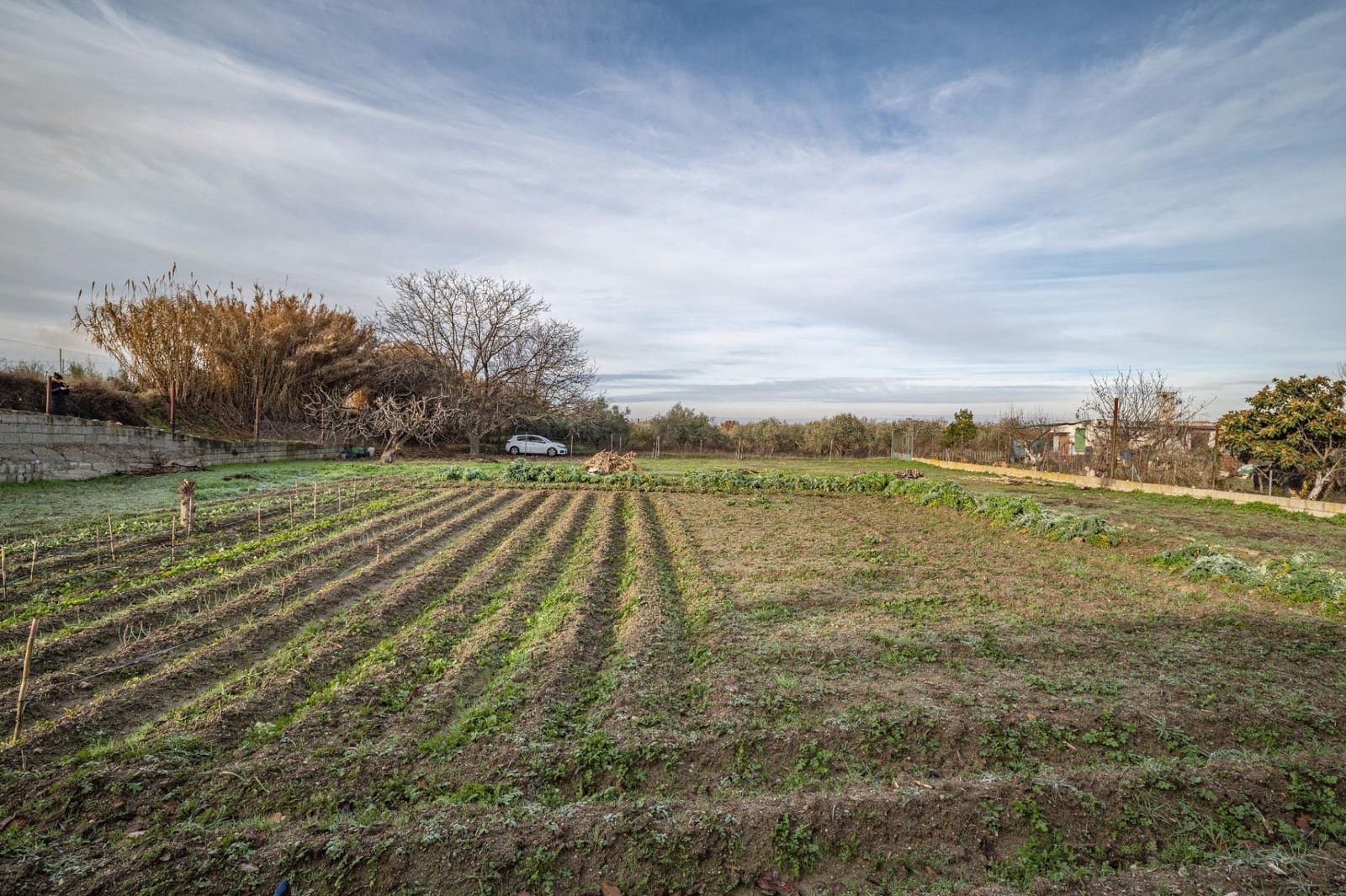 Byggegrund til salg i La Zubia - € 64.000 (Ref: 9551842)