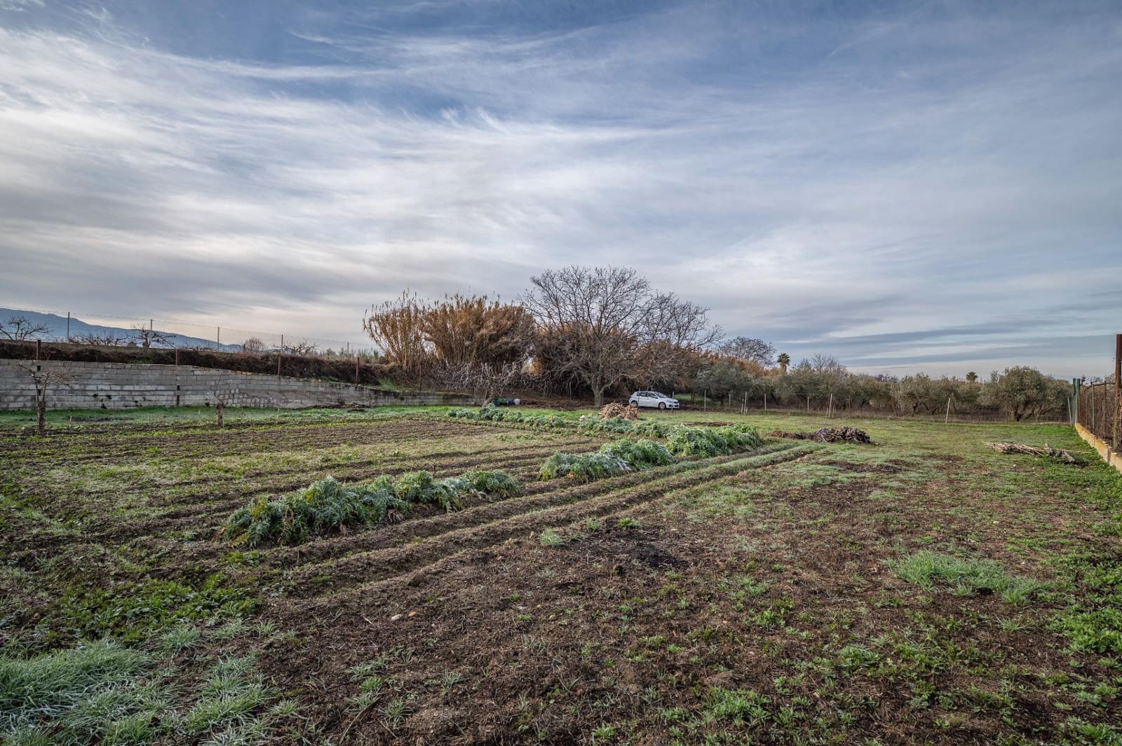 Byggegrund til salg i La Zubia - € 64.000 (Ref: 9551842)