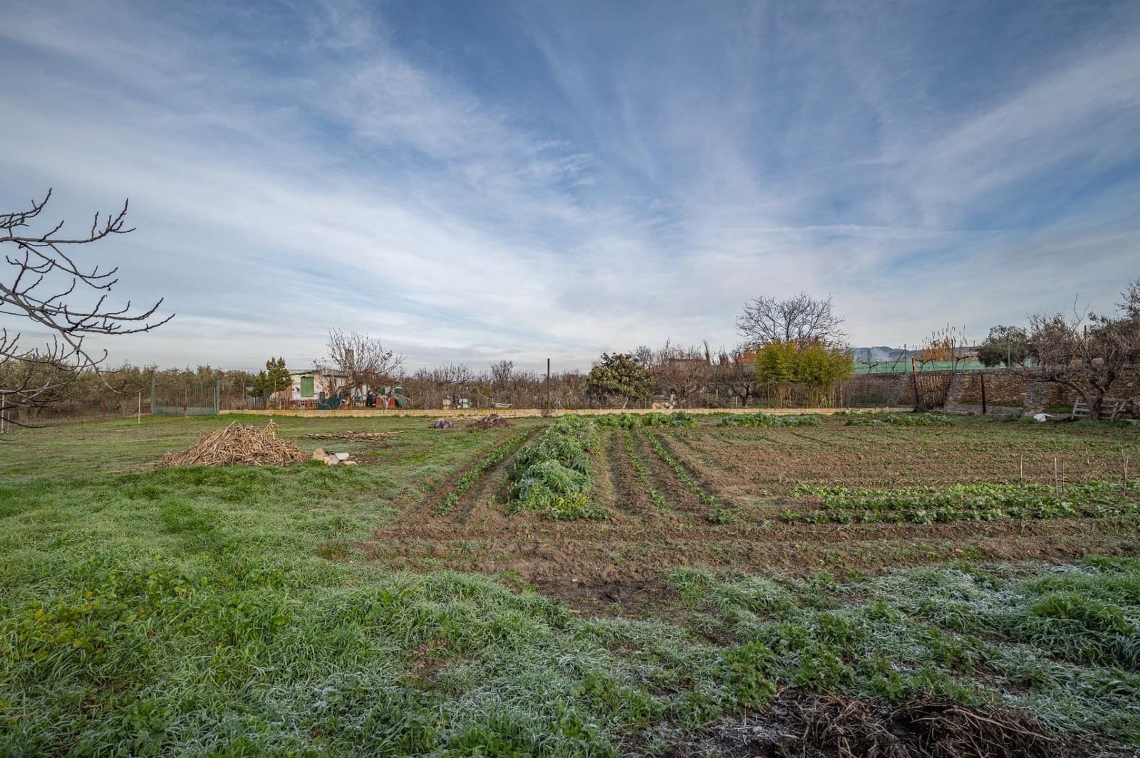 Byggegrund til salg i La Zubia - € 64.000 (Ref: 9551842)