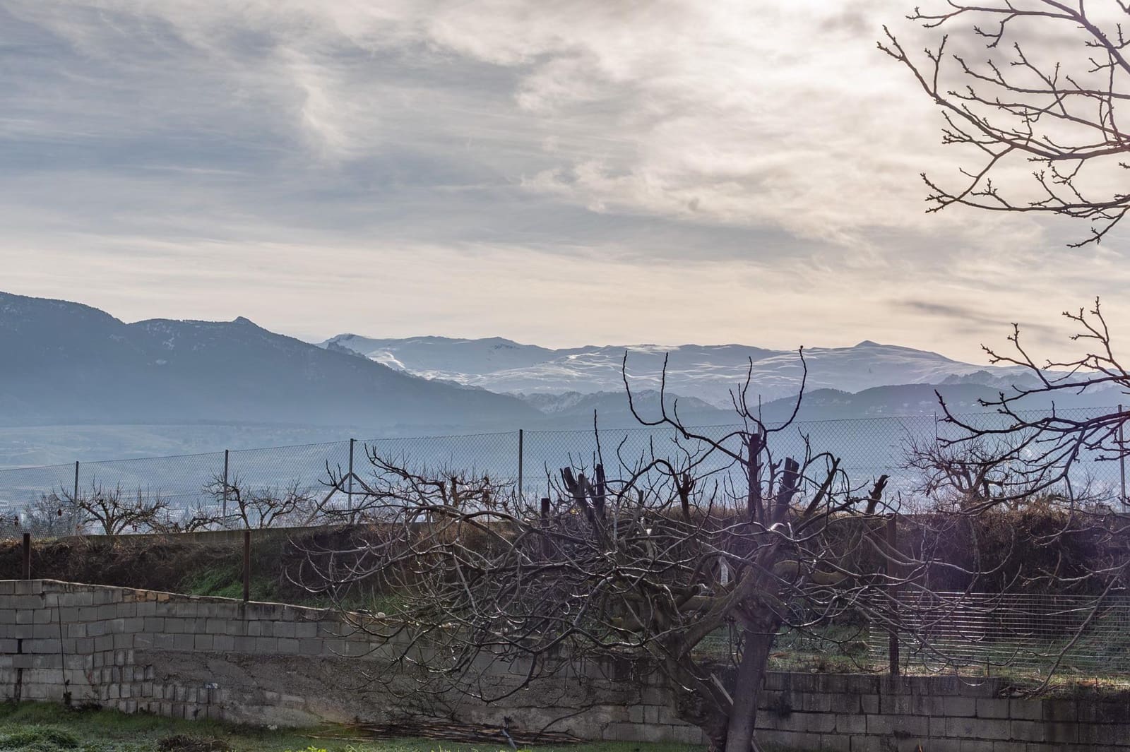 Byggegrund til salg i La Zubia - € 64.000 (Ref: 9551842)