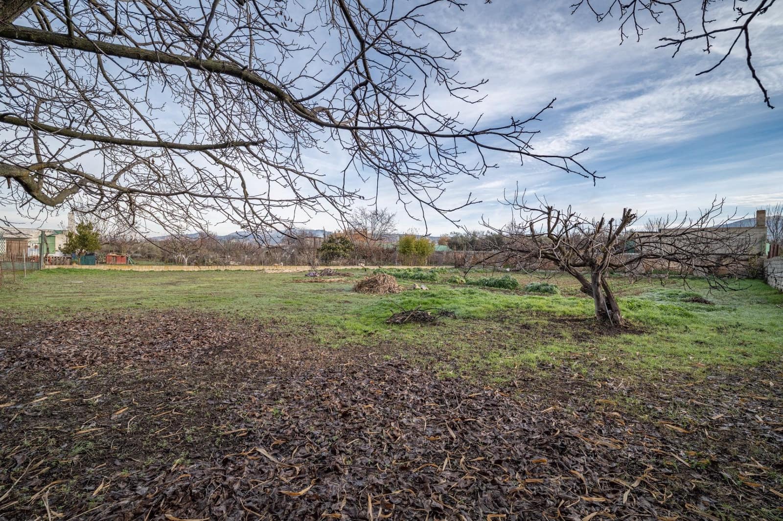 Byggegrund til salg i La Zubia - € 64.000 (Ref: 9551842)