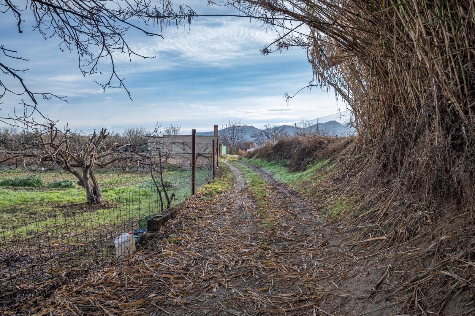 Byggegrund til salg i La Zubia - € 64.000 (Ref: 9551842)