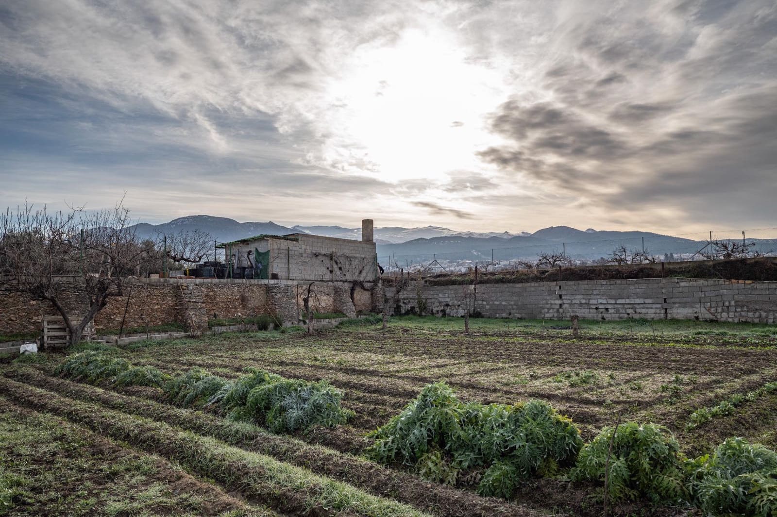 Building Plot for sale in La Zubia - € 64,000 (Ref: 9551842)