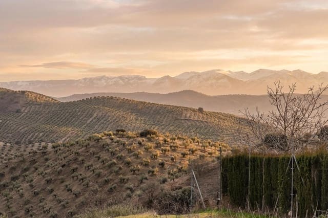 Building Plot for sale in Noalejo - € 57,000 (Ref: 9557963)