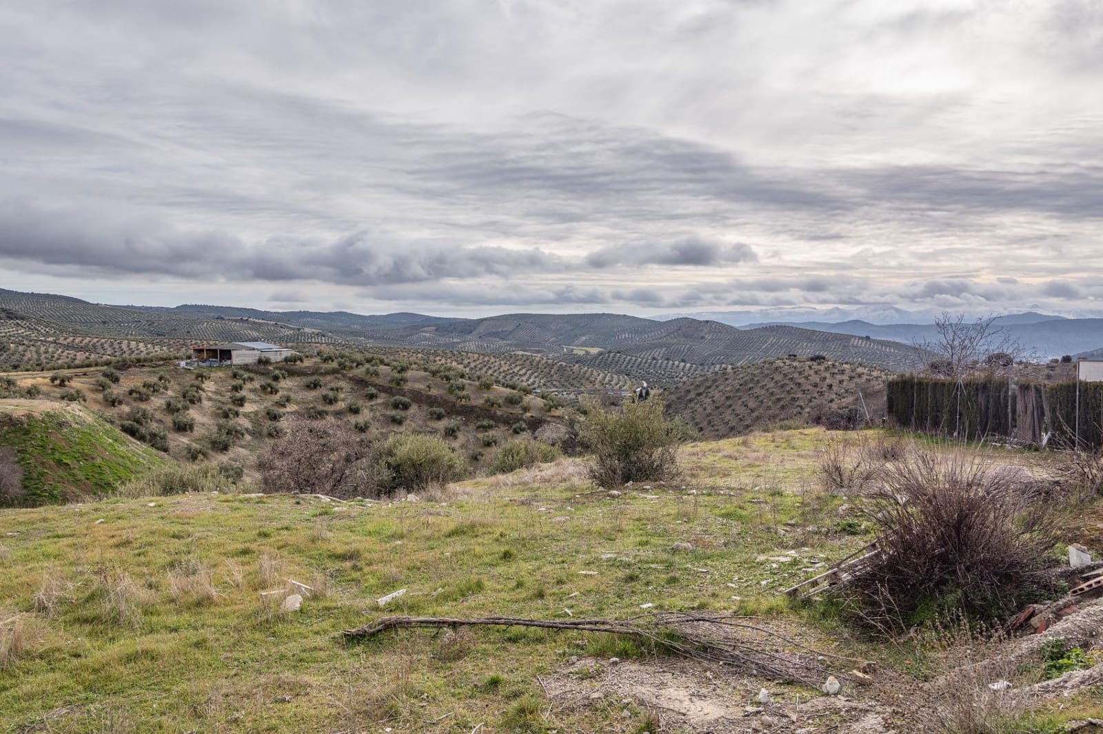 Building Plot for sale in Noalejo - € 57,000 (Ref: 9557963)