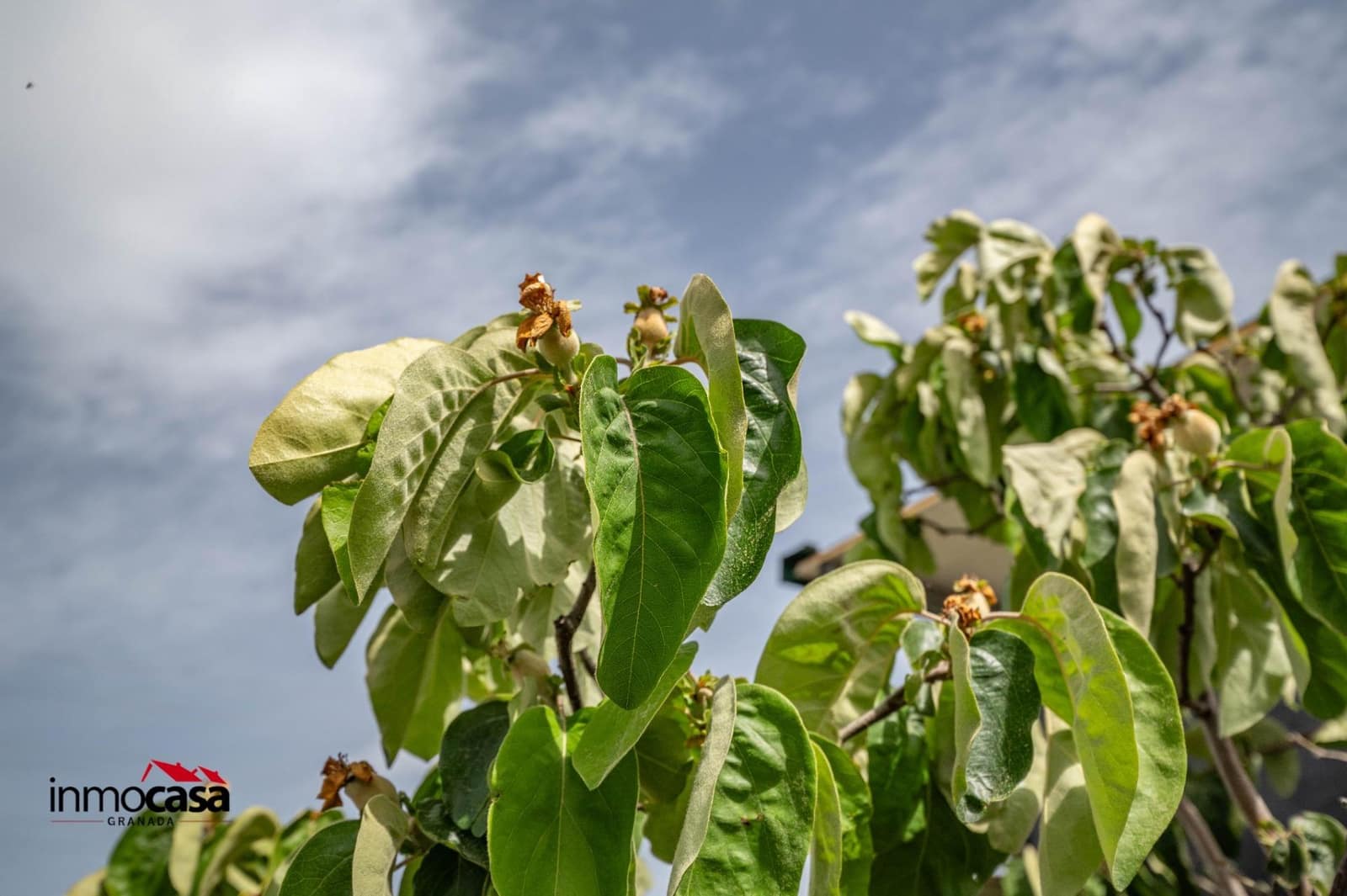 Building Plot for sale in Las Gabias - € 60,000 (Ref: 9773228)