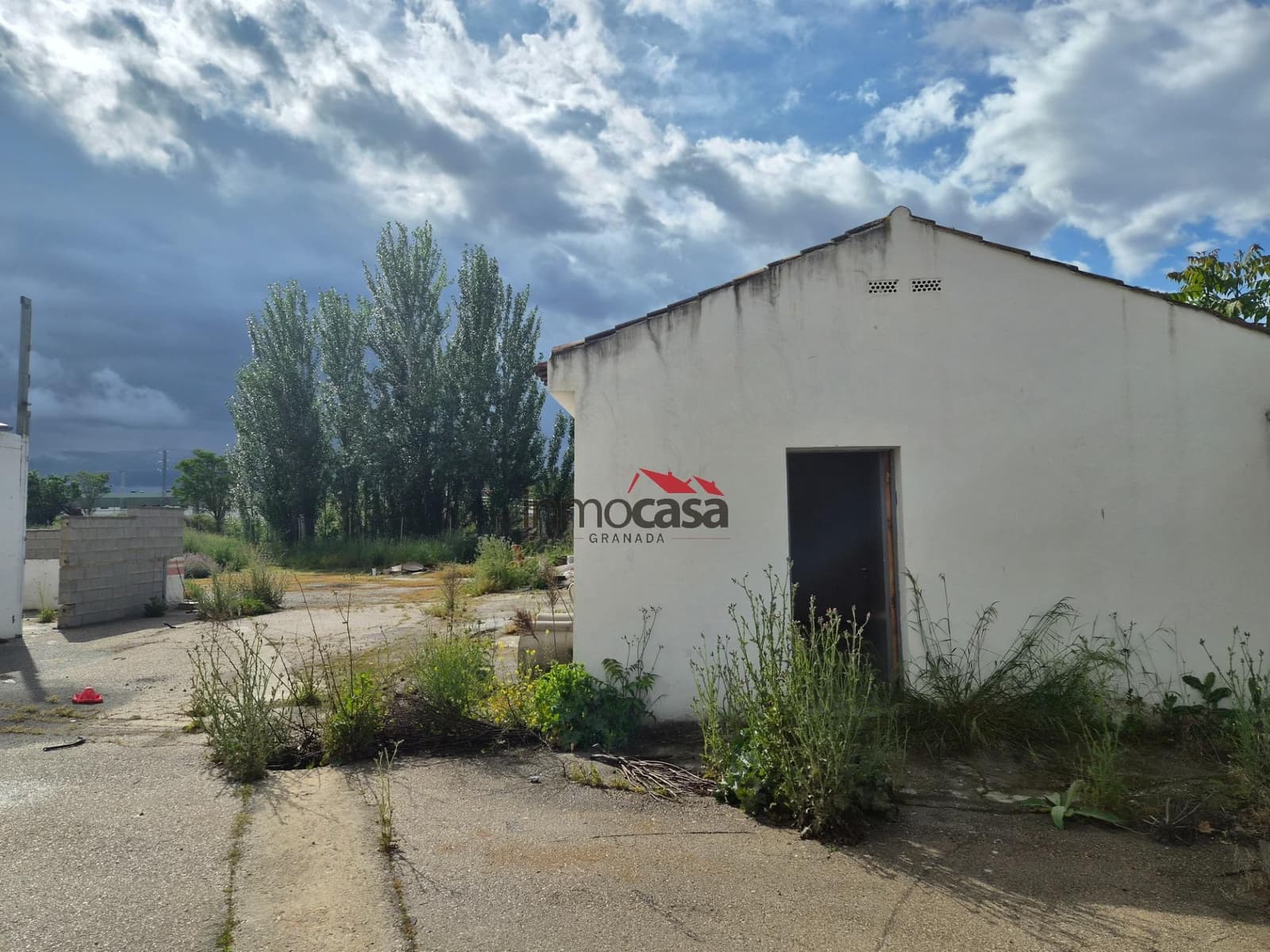 Undeveloped Land for rent in Granada city - € 3,500 (Ref: 9977433)