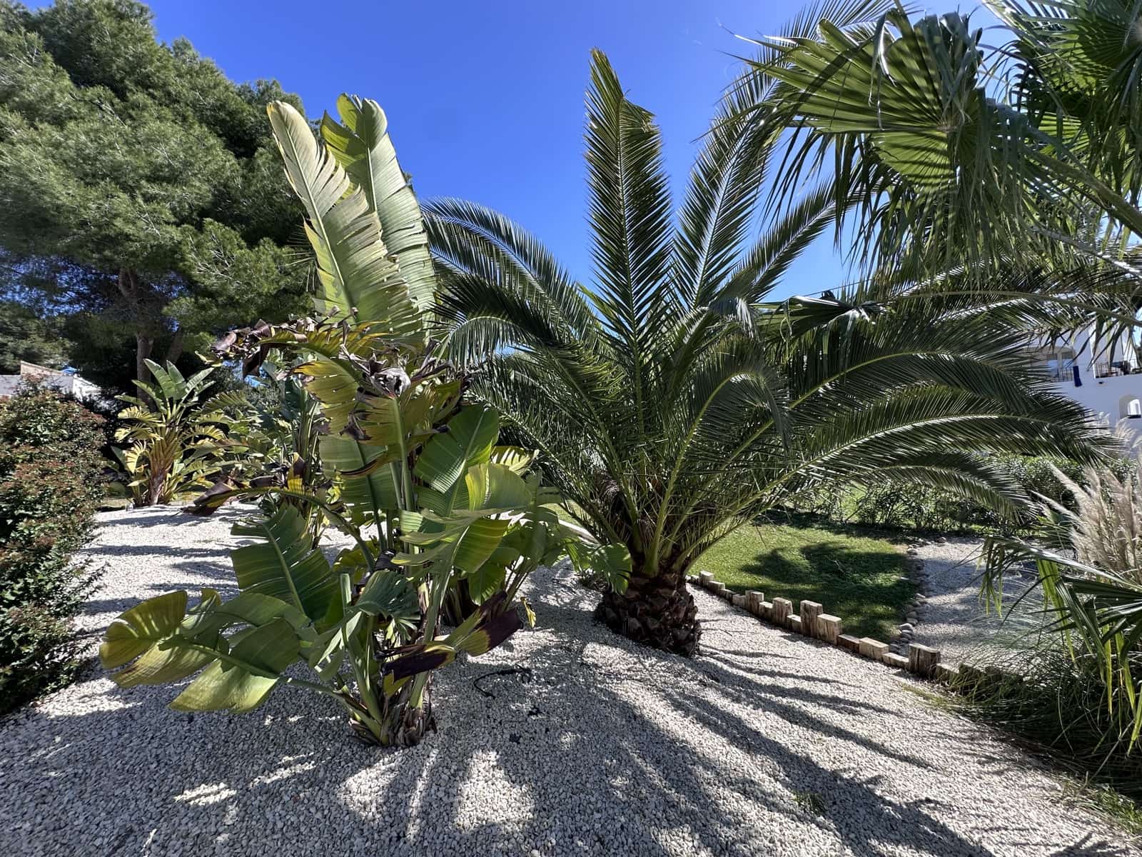 Casa de 12 habitaciones en Javea / Xàbia en venta con piscina garaje - 2.250.000 € (Ref: 9753543)