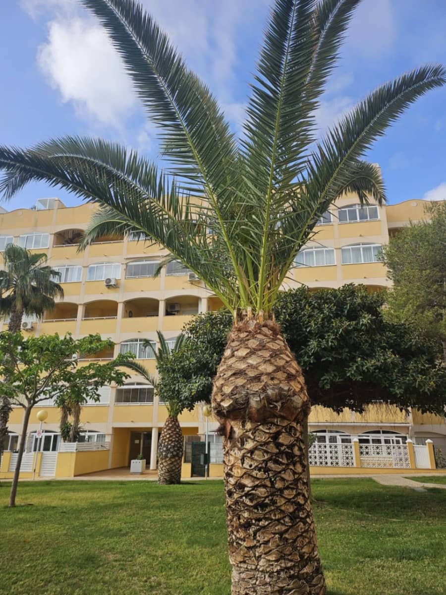 2 camera da letto Appartamento in vendita in Torrevieja con piscina garage - 189.900 € (Rif: 9415163)