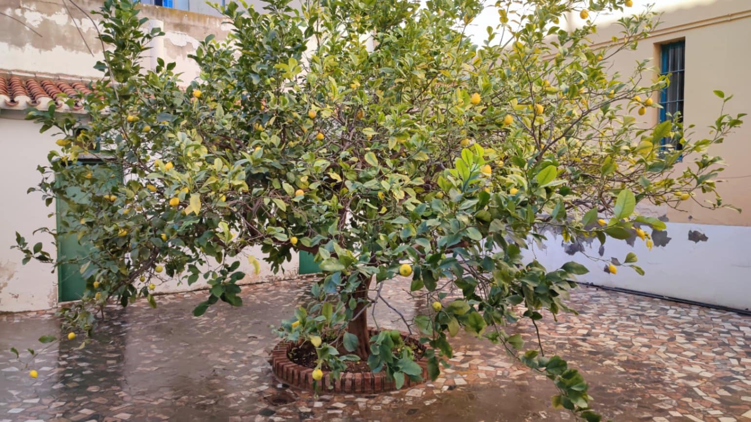 6 sypialnia Mieszkanie na sprzedaż w Jijona / Xixona - 275 000 € (Ref: 9491675)