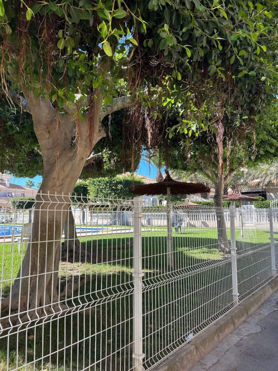 Bungalow à louer à Playa Flamenca avec piscine - 780 € (Ref: 9678208)