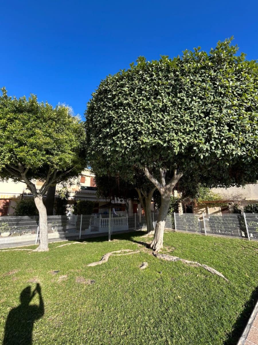 Bungalow à louer à Playa Flamenca avec piscine - 780 € (Ref: 9678208)