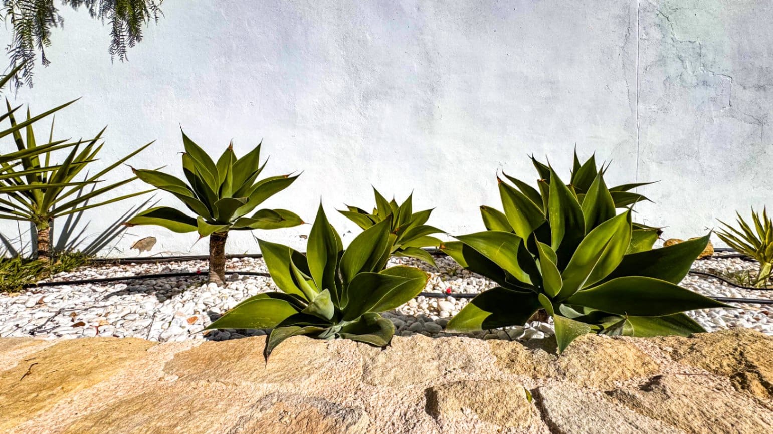 3 bedroom Villa for sale in Busot with pool garage - € 850,000 (Ref: 9731502)