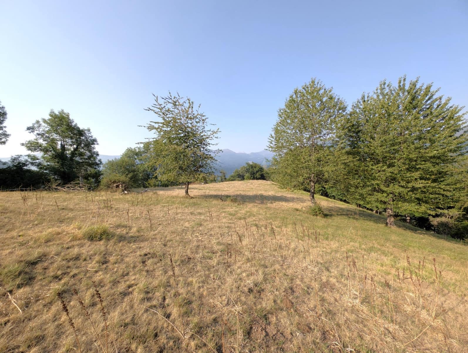 Finca/Country House for sale in Aller - € 32,700 (Ref: 10013487)