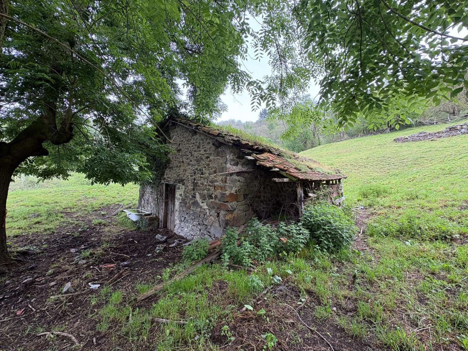 1 bedroom Finca/Country House for sale in Aller - € 30,000 (Ref: 9833899)