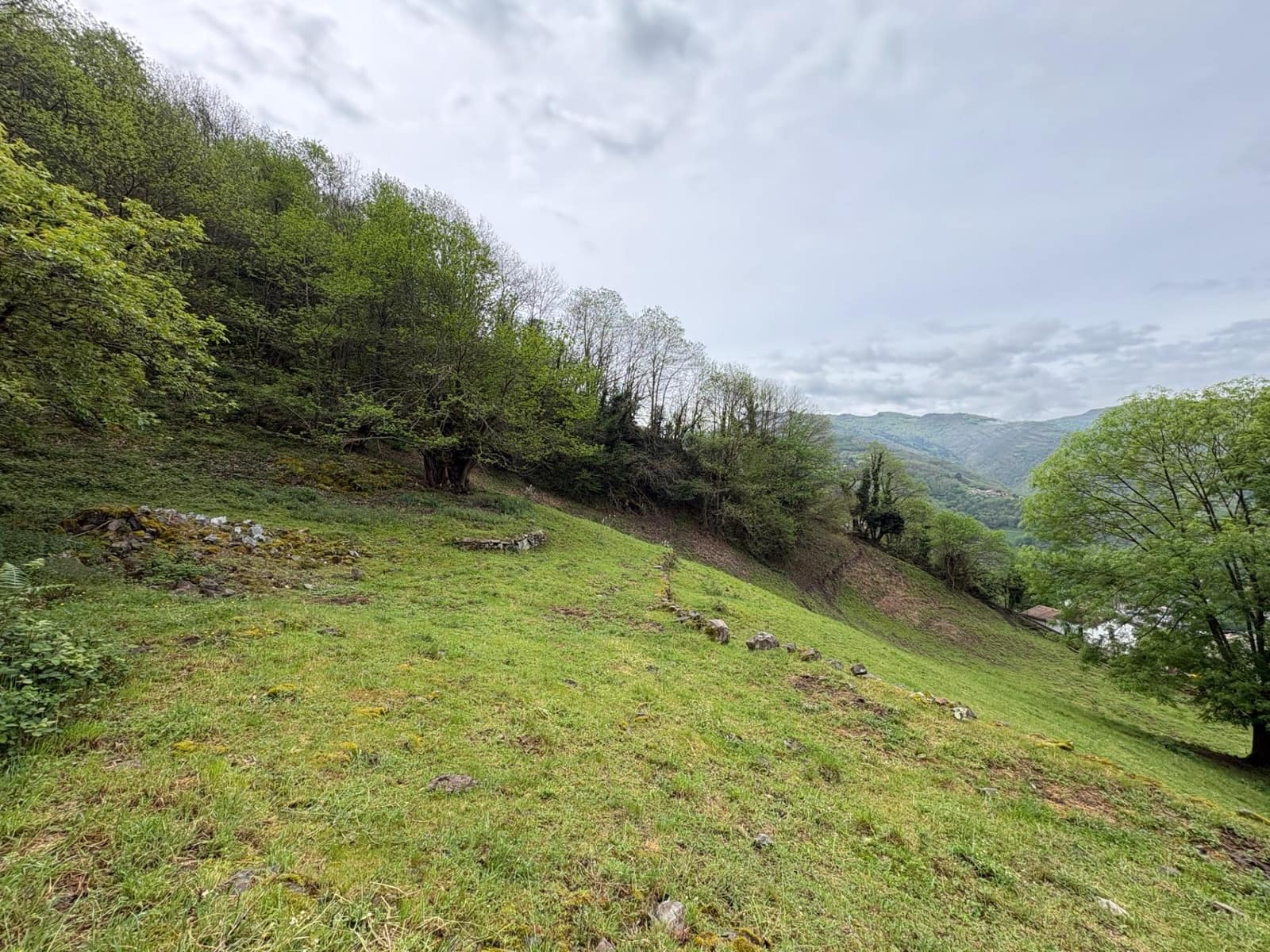 1 bedroom Finca/Country House for sale in Aller - € 30,000 (Ref: 9833899)