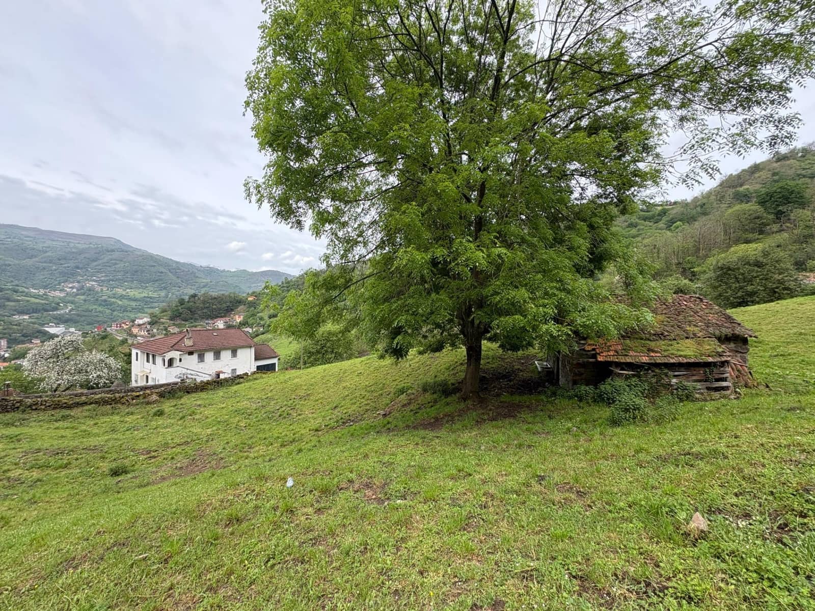 1 bedroom Finca/Country House for sale in Aller - € 30,000 (Ref: 9833899)