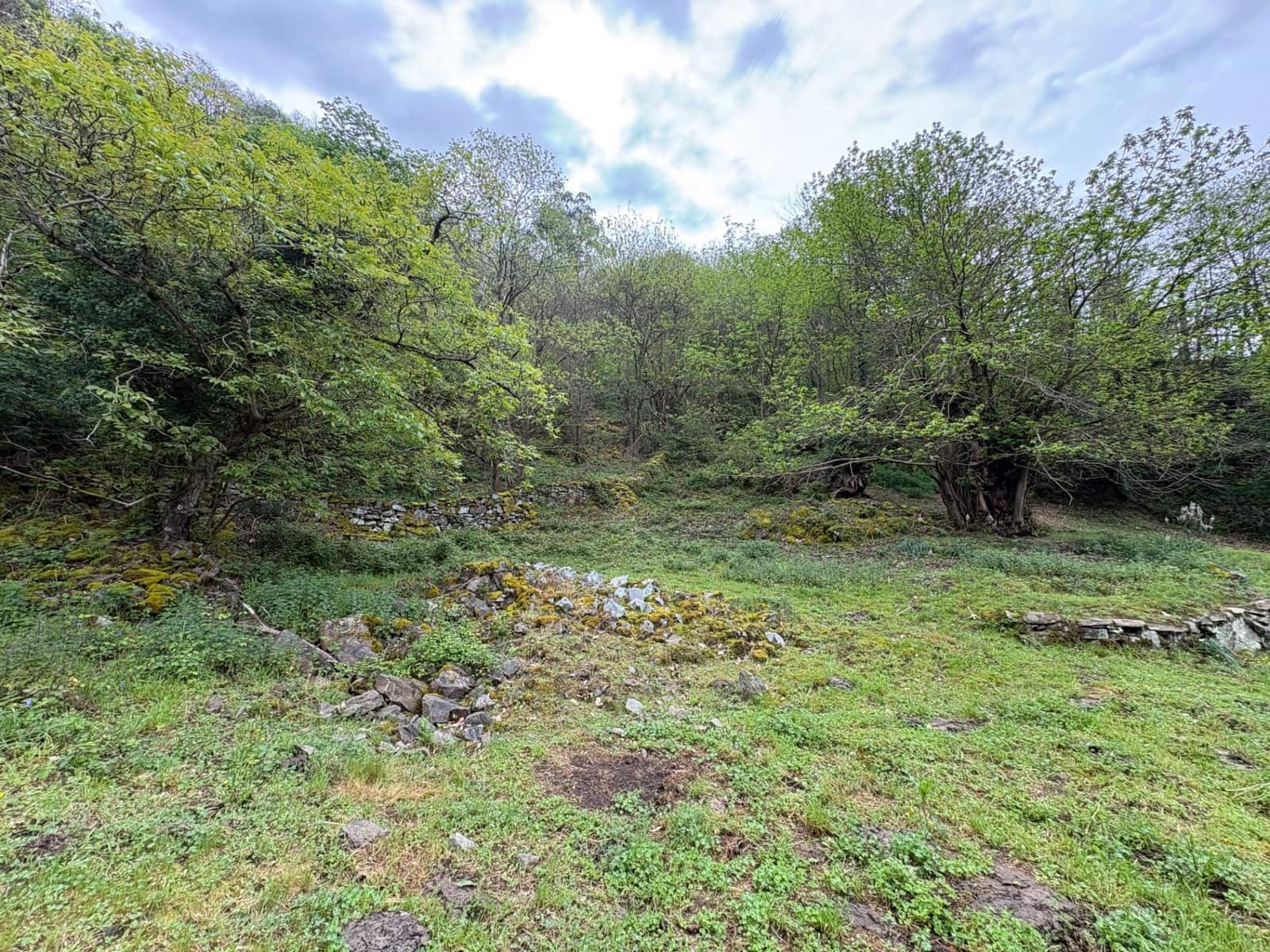 1 bedroom Finca/Country House for sale in Aller - € 30,000 (Ref: 9833899)