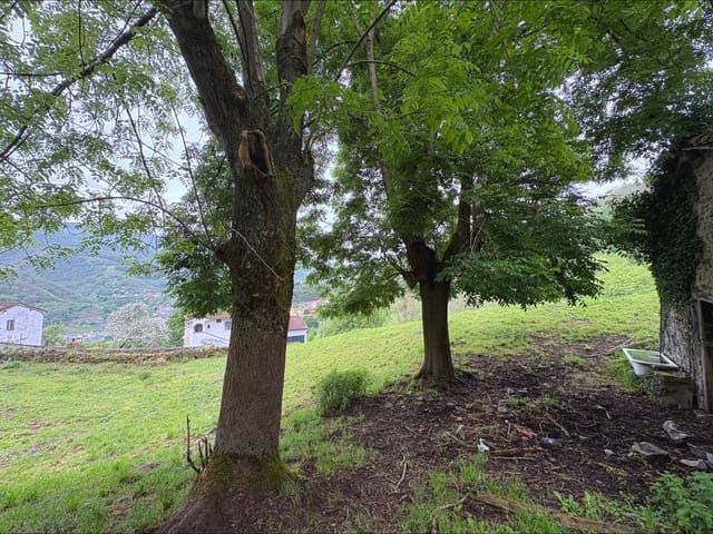 1 soveværelse Finca/Landehus til salg i Aller - € 30.000 (Ref: 9833899)