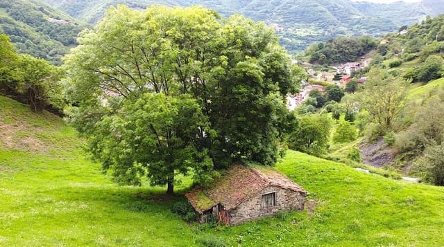 1 soveværelse Finca/Landehus til salg i Aller - € 30.000 (Ref: 9833899)