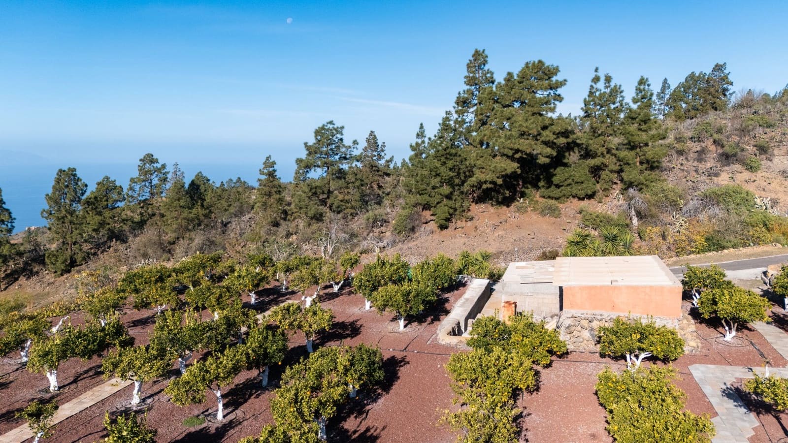 Finca/Casa Rural en Guía de Isora en venta - 495.000 € (Ref: 9471659)