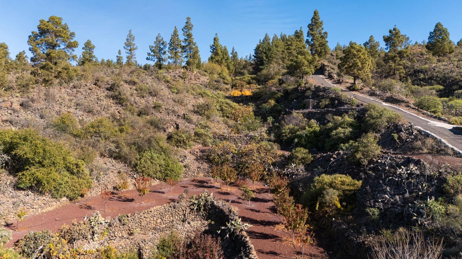 Finca/Casa Rural en Guía de Isora en venta - 495.000 € (Ref: 9471659)