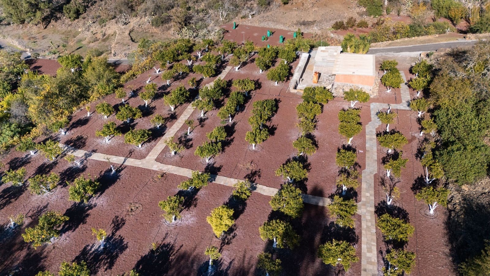 Finca/Casa Rural en Guía de Isora en venta - 495.000 € (Ref: 9471659)