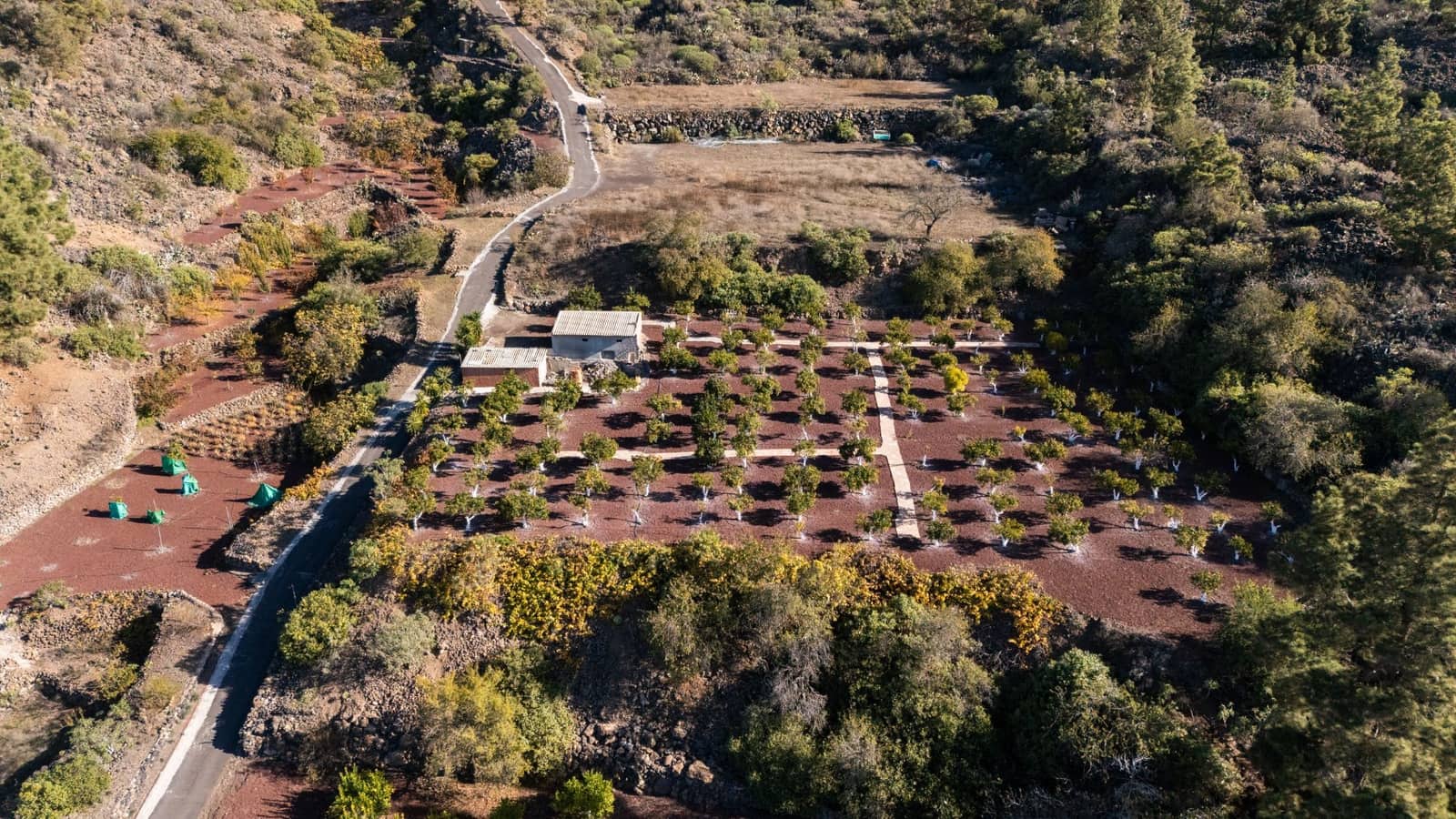 Finca/Casa Rural en Guía de Isora en venta - 495.000 € (Ref: 9471659)