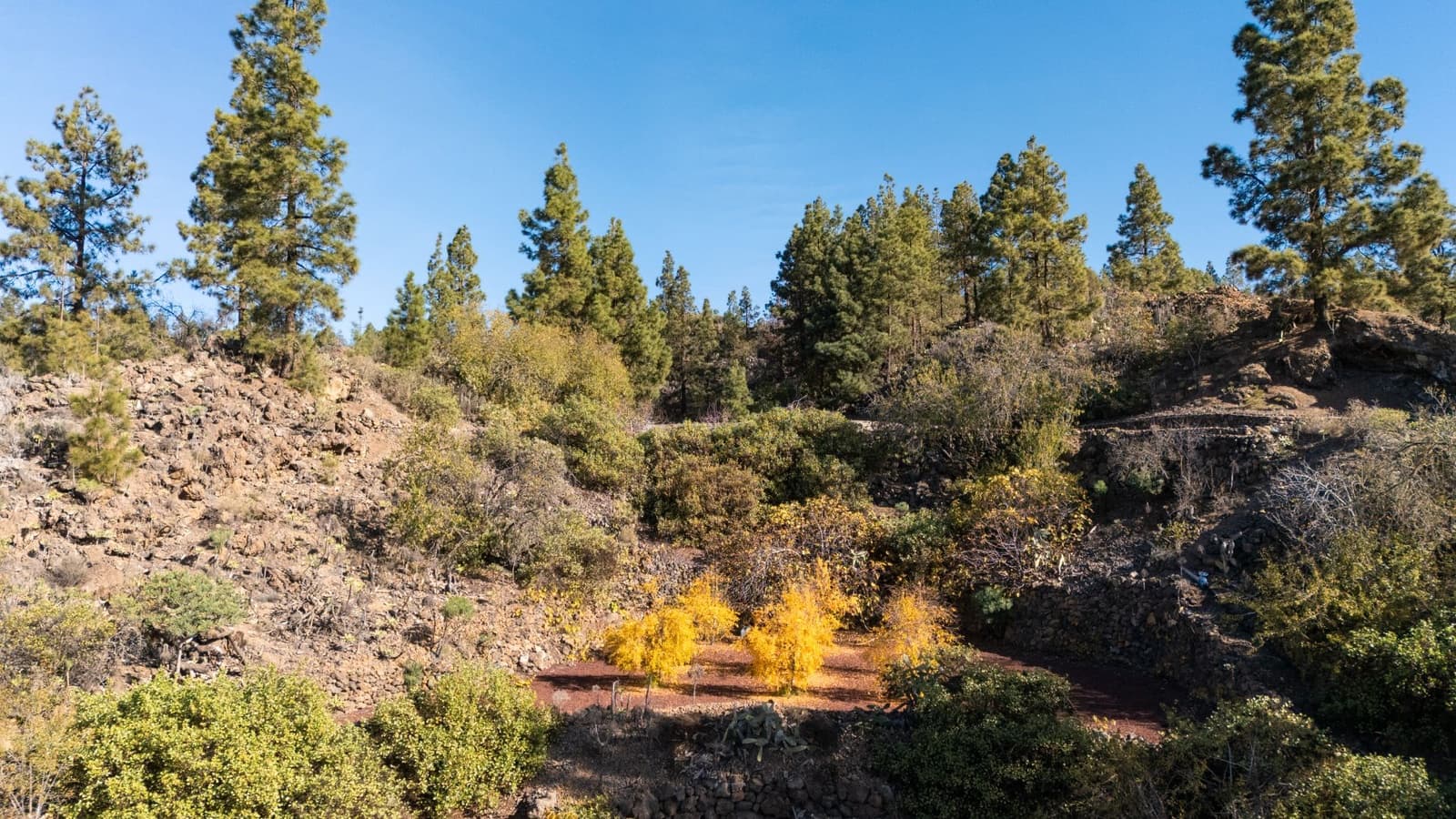 Finca/Casa Rural en Guía de Isora en venta - 495.000 € (Ref: 9471659)