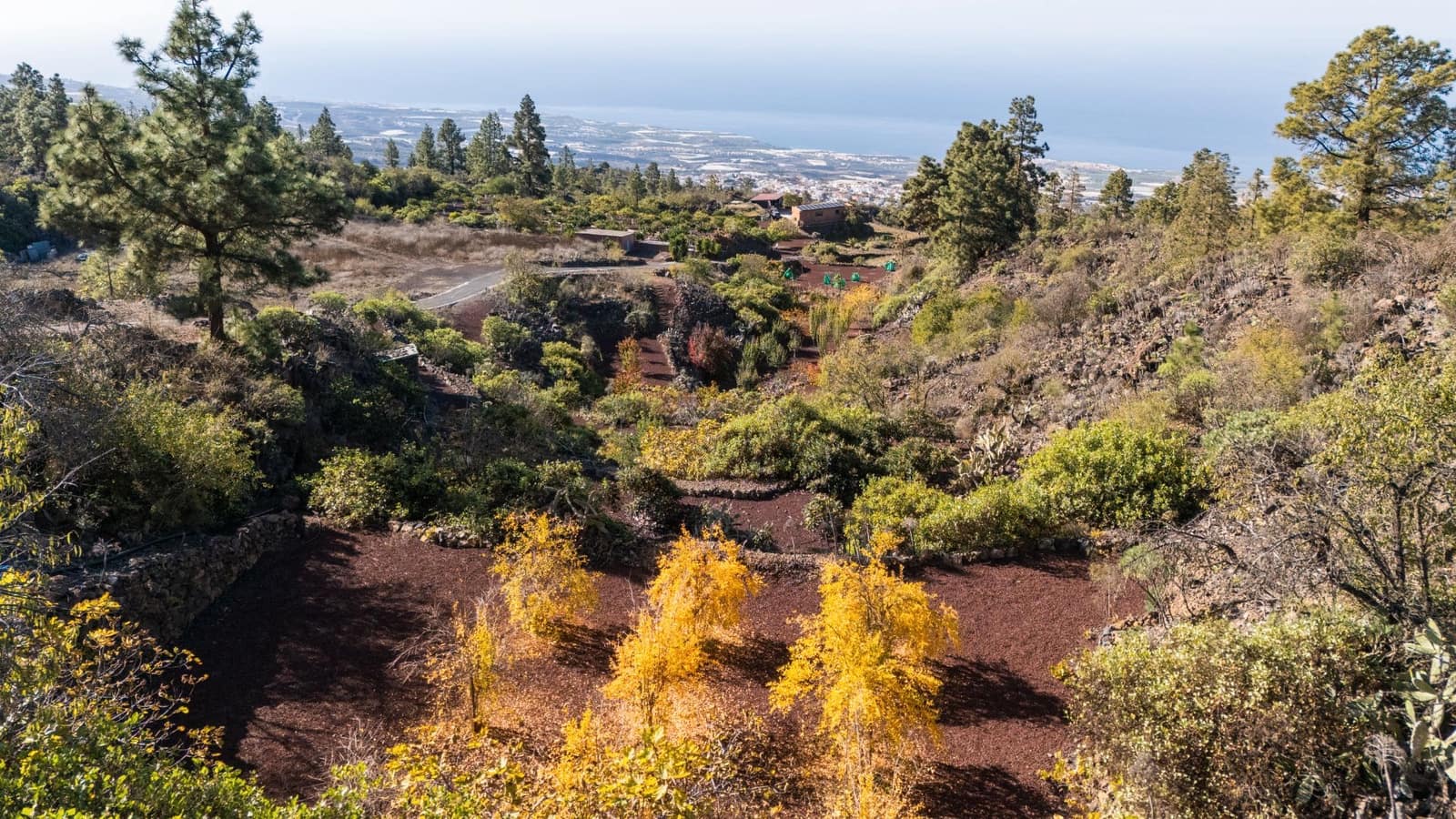 Finca/Casa Rural en Guía de Isora en venta - 495.000 € (Ref: 9471659)