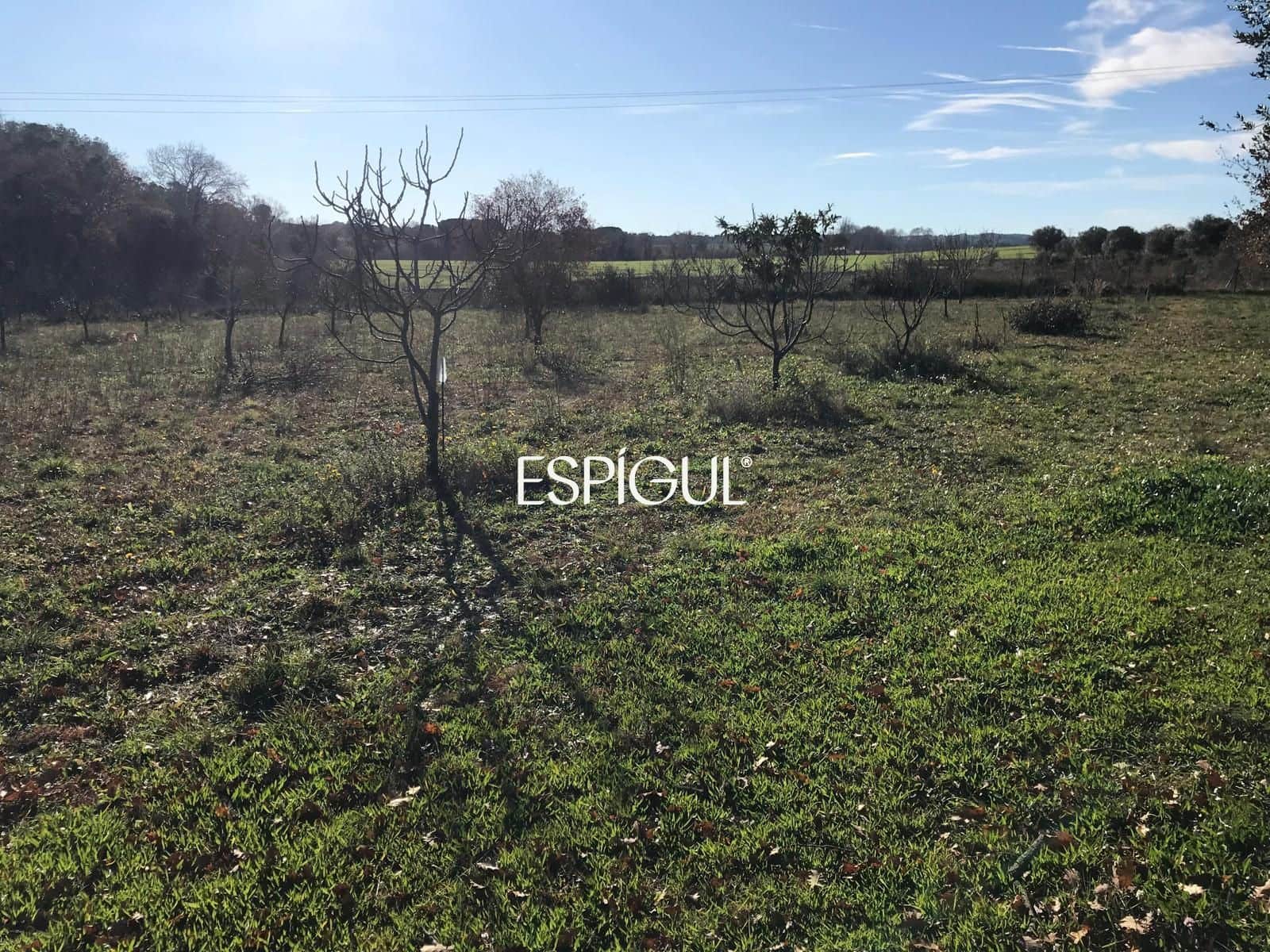 Building Plot for sale in Vilamalla - € 85,000 (Ref: 10015946)