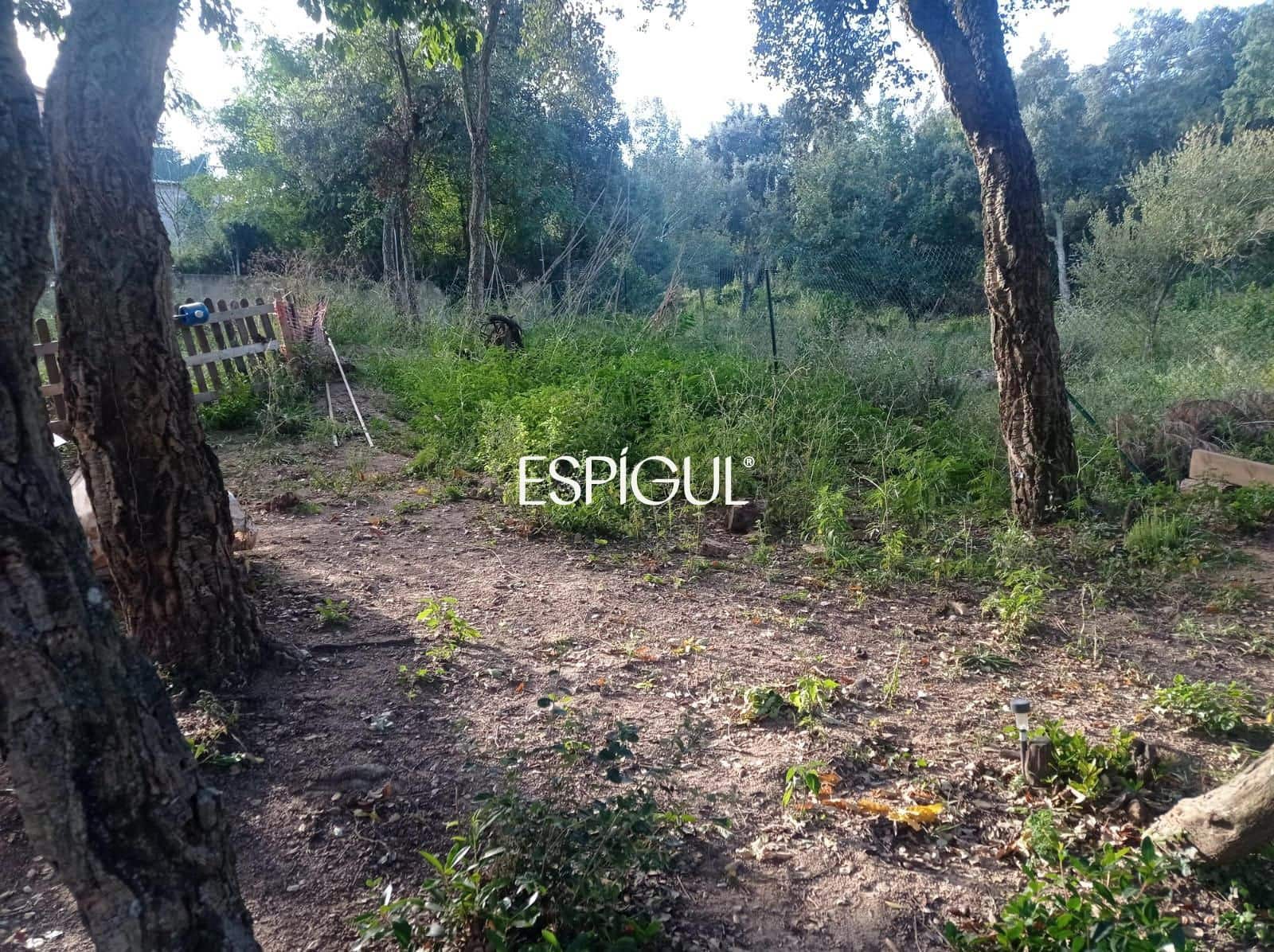 Building Plot for sale in Riudarenes - € 118,500 (Ref: 10015994)