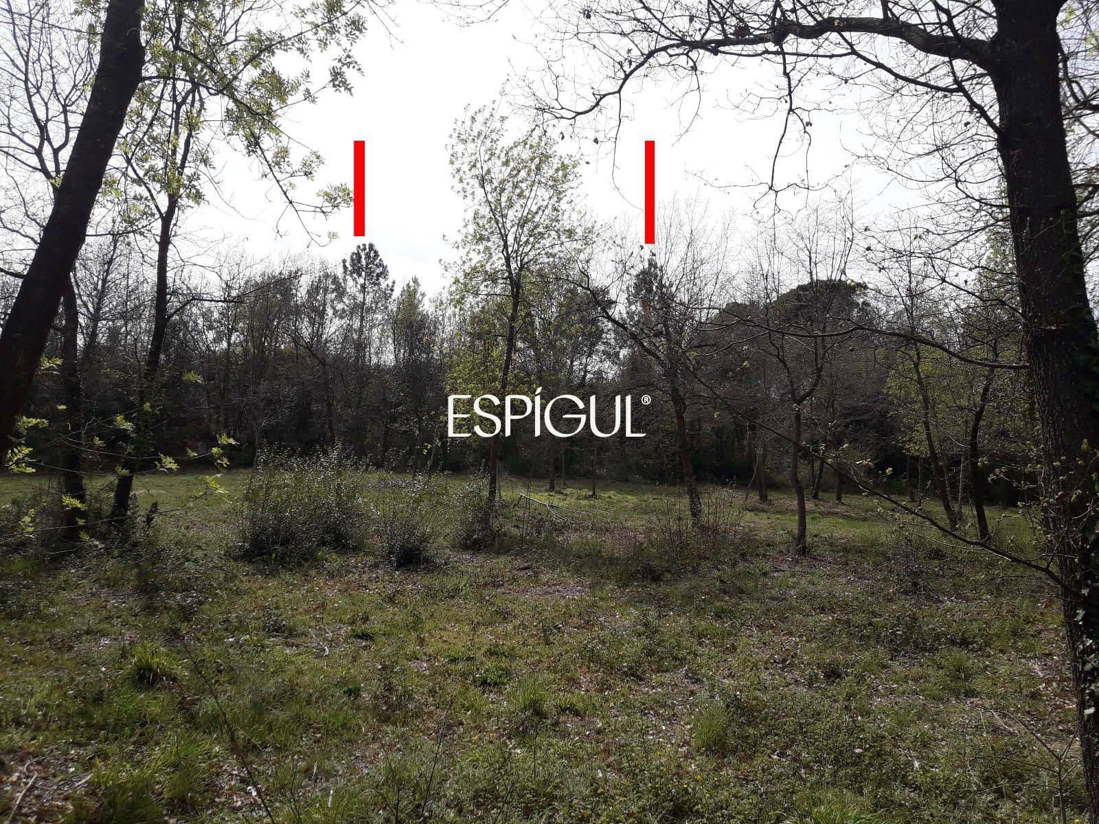 Building Plot for sale in Sils - € 104,000 (Ref: 10016000)