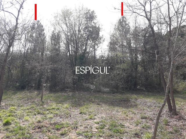 Building Plot for sale in Sils - € 104,000 (Ref: 10016000)