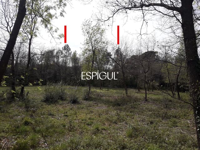Building Plot for sale in Sils - € 104,000 (Ref: 10016000)