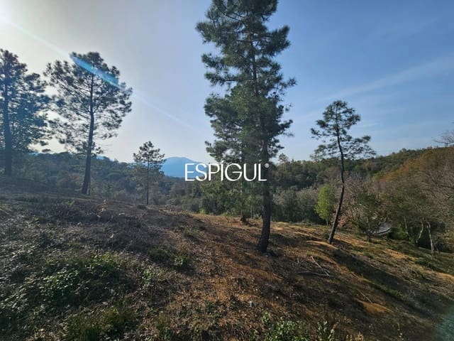 Terrain à Bâtir à vendre à Bescanó - 44 000 € (Ref: 10016001)