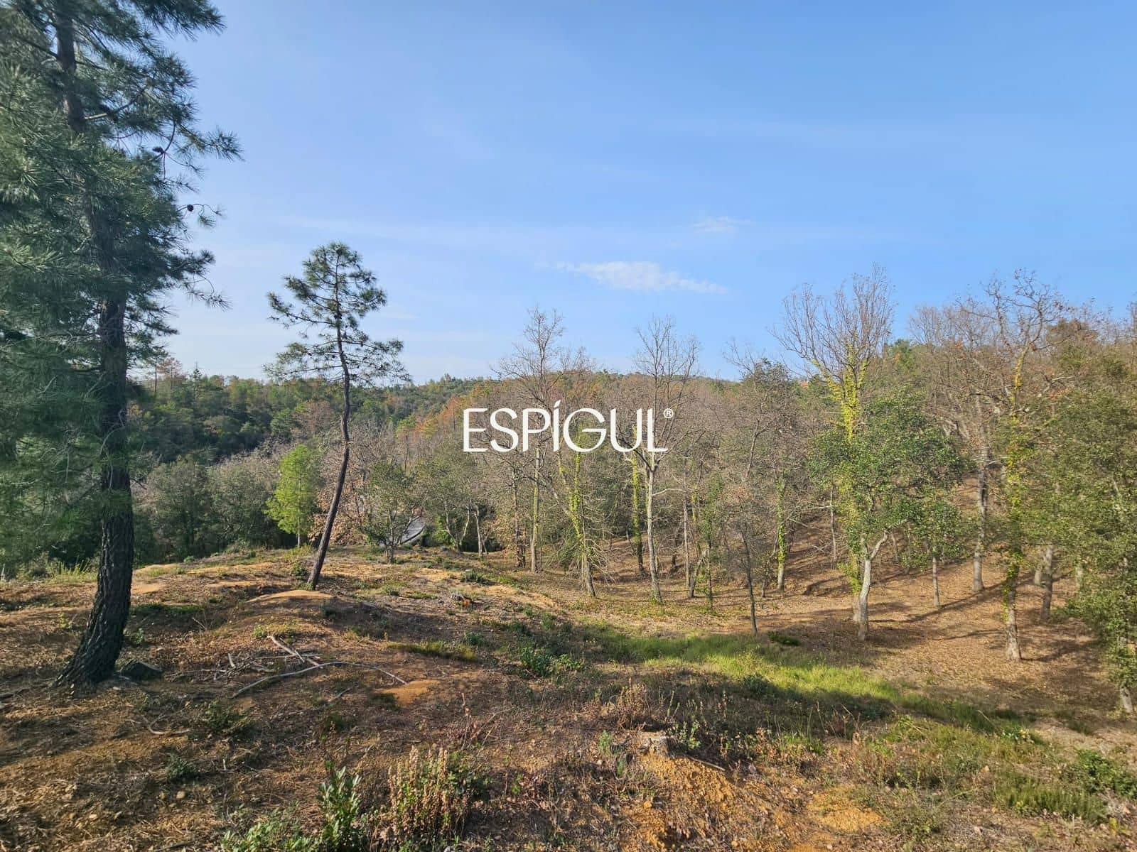 Terrain à Bâtir à vendre à Bescano - 44 000 € (Ref: 10016001)