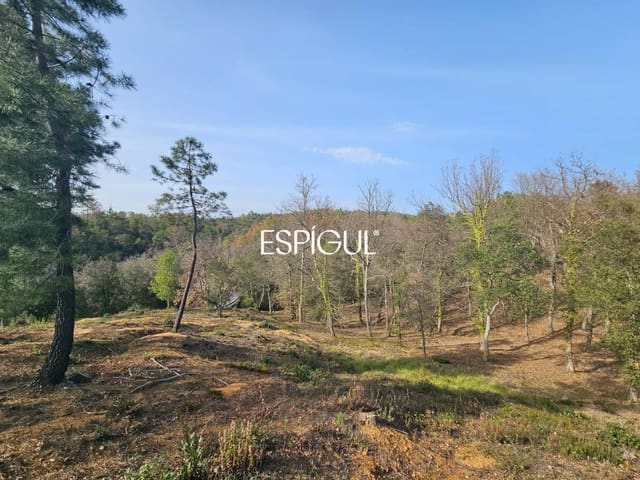 Terrain à Bâtir à vendre à Bescanó - 44 000 € (Ref: 10016001)